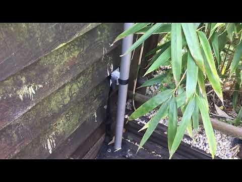 Antenne delta loop 11M 27,555mhz version finale