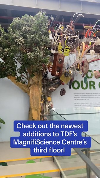 Explore TDF's MagnifiScience Centre: Third Floor Adventures