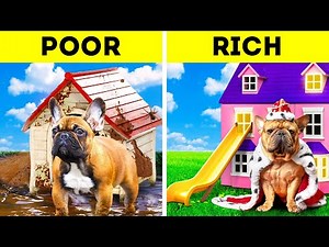RICH vs POOR || Building House For Rescued Dogs And Cats