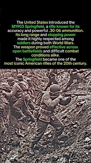 Why the Springfield 1903 Became America’s Legendary WWII Rifle