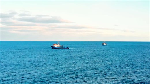 3K views · 31 reactions | The Alaska pollock fishery is one of the world’s most abundant and sustainably managed fisheries—and Seattle is at its center. | Port of Seattle | Facebook