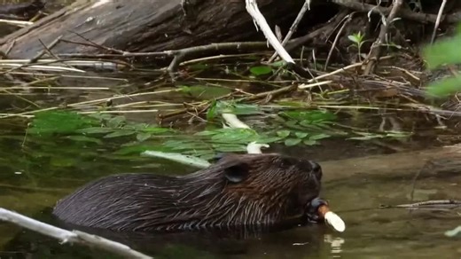 The future of water: What you need to know