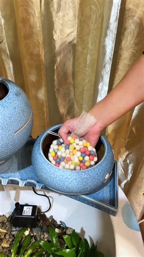 The most complete tutorial on setting up an ecosphere is here! #fishkeeping #ecospherelandscape