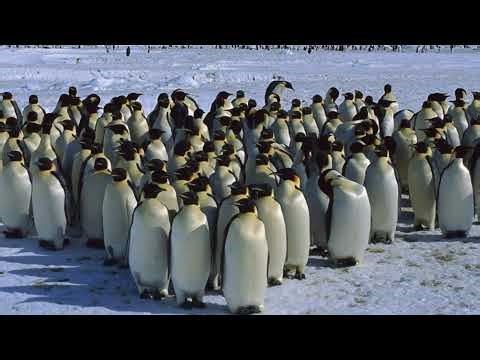 Fortnite board game fun. Today is my birthday