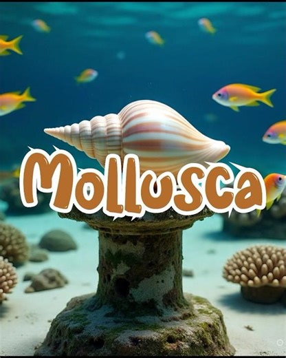 Mollusca example #class9 #ncert #neet #biology #chapter7 #notes #shorts #classification #animalia