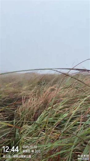 Gordon Dai on Reels | Facebook