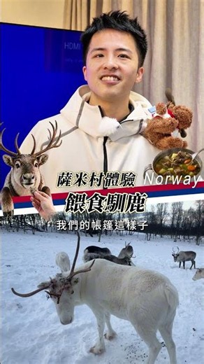 挪威不只極光！餵馴鹿、嚐鹿肉湯，走進薩米文化