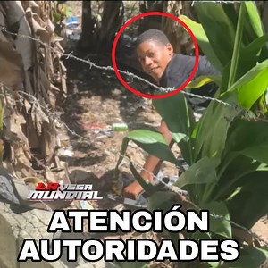 2.4M views · 43K reactions | En exclusiva este muchacho ha penetrado Ah más de 30 casas dando tumbes de una gran cantidad de dinero. | La Vega Mundial | Facebook