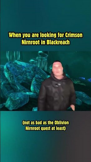 When you are looking for Crimson Nirnroot in Blackreach! #skyrim