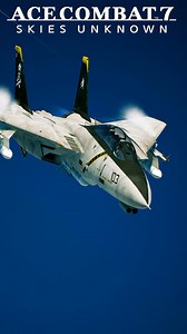 El Legado de Top Gun _ Grumman F-14 Tomcat | Nicolas Gudino