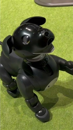 Aibo - companion robot at Miraikan Museum, Tokyo Japan