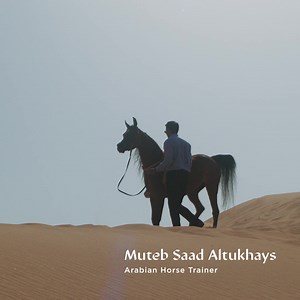 2.3K views · 69 reactions | Halter is a showmanship event where horses are shown instead of ridden. One of the largest halter events in the world takes place in Saudi, where Arabian horses take center stage. Learn more about the history of Arabian horses and why they are celebrated with such pageantry: https://www.visitsaudi.com/en/do/culture/muteb | Visit Saudi | Facebook