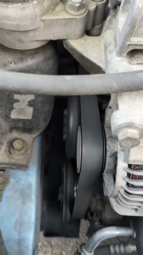 Cinghia servizi Ford Focus I° Serie mk1