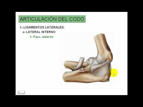3 Articulaciòn de codo, muñeca y mano