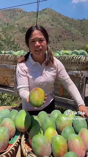 Amazing Fruits: A Visual Delight for Your Senses