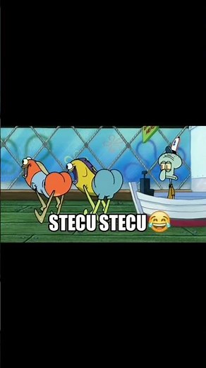 stecu stecu #shorts #spongebob #meme #fyp