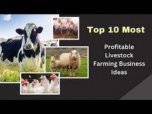 Top 10 Profitable Livestock Farming Ideas | From Zero to Hero
