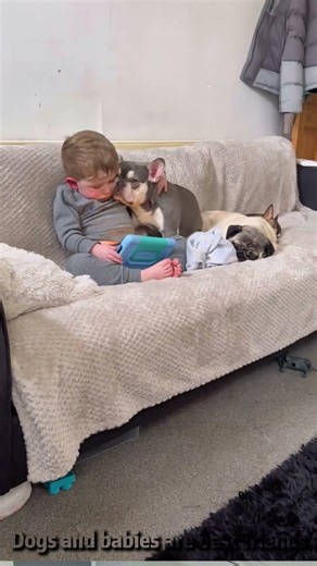 Dogs and babies are best friends #foryou #funny #dog #youtube