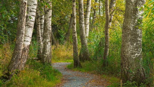 How to Edit Autumn Landscapes for Richer Colors in Lightroom