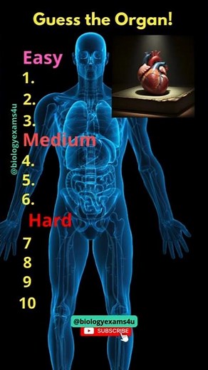 What is that Organ? Guess the Organ Human Anatomy Quiz!