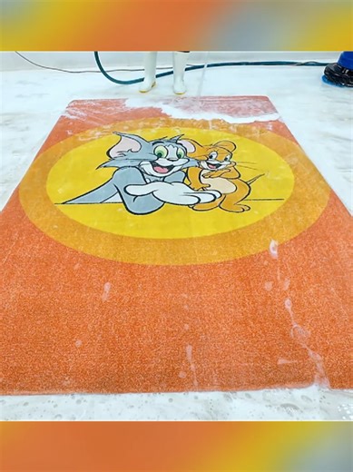 ASMR Carpet Cleaning Experience