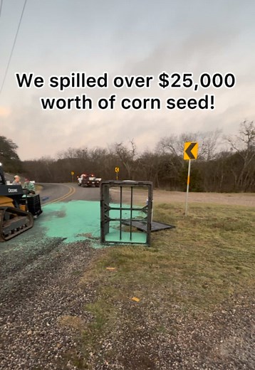 Easily the worst morning of the year for us!😂 ##farmlife##agriculture##farm##countrylife##farmer