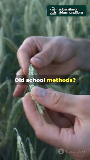 Traditional vs. Modern Farming: Which is Better?