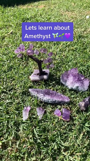 Let’s learn about Amethyst 💜✨🌱 #amethyst #letslearn #crystaltok #crystaltips #crystalbenefits #etsy #smallbusiness #fyp #supportsmallbusiness