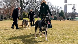 New details emerge about incident with Biden’s German shepherd