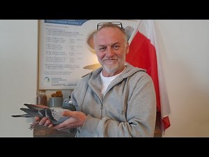 #128 Dlaczego gołębie wracają z tyłu...?