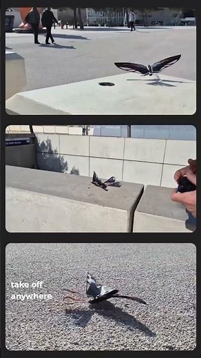 Flying Robot Bird The Swift By Bionic Bird #uav #ornithopter