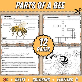 Parts Of a Bee Activity and Labeling | Fine motor & Science| Spring & Insects