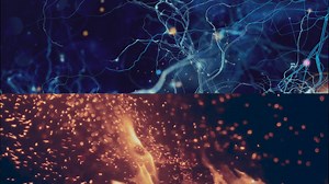 Experts from 4 different fields define consciousness