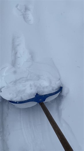 Святкові традиції Полісся на Різдво