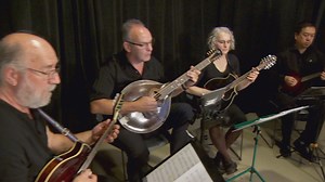 The Oregon Mandolin Orchestra creates 'musical rain' with eight strings and 25 players