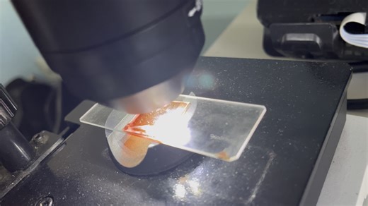 《正确观看工作细胞的理论与实践》