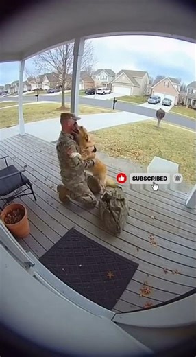 Dog Realizes His Soldier Is Finally Home ❤️🐶🇺🇸