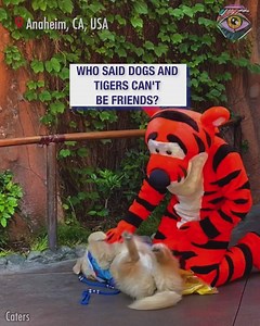 And they lived happily ever after 🫶 | Bright Side Fun