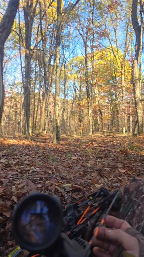 Lets make something happen 🦌 | Brandon Melat