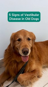 3.9K views · 13 reactions | In honor of National Senior Pet Awareness...