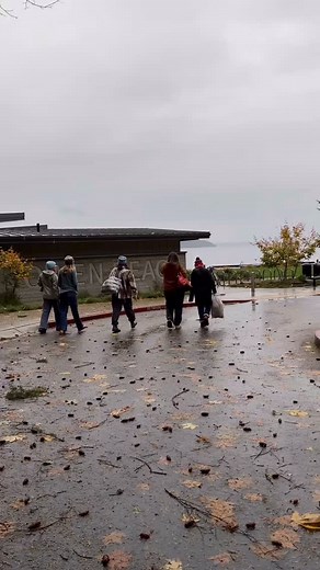 27 reactions | Day 23 and we joined some cold water swimmers in...