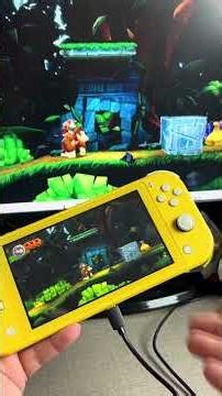 I connected my Switch Lite to the TV.