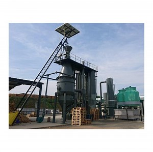 [Hot Item] Woody/Palm/Coconut Shell Biomass Pyrolysis Gasification Electric Power Plant/Gas Genset/Esp