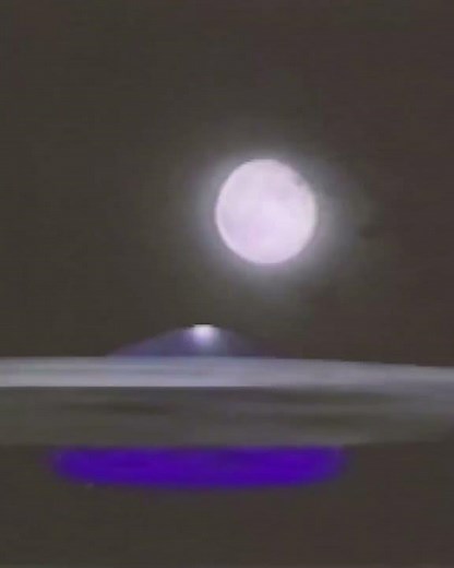 Feeders (1996) directed by John and Mark Polonia and Jon McBride #alien #scifi #extraterrestrial