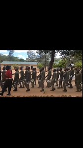 65K views · 1.6K reactions | Military training drill time #military #soldier | InfinitySeer | Facebook
