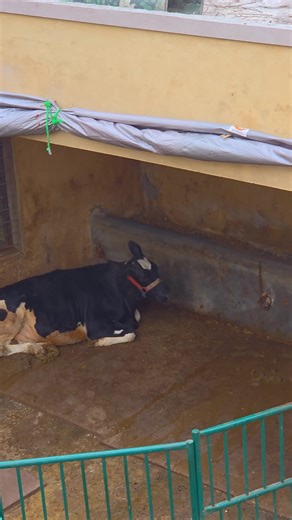 Exploring Sustainable Farming Practices on the Farm