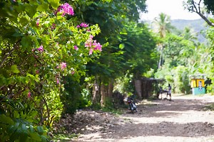 Meteo Port-au-Prince - Haïti (Département de l'Ouest) : Prévisions Meteo GRATUITE à 15 jours - La Chaîne Météo