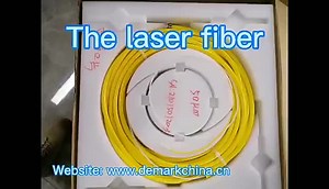 IPG Raycus Fiber Laser Optical Cable for MAX JPT RECI GW Laser Source 400um 20m Optical Signal QHB Cable Fiber Output Cable