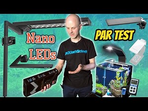 Welche LED für Nano-Aquarien ist die Beste? Neun Leuchten im Test | Dennerle, Chihiros, Aquael uvm.