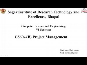 The Process Automation in Project Management